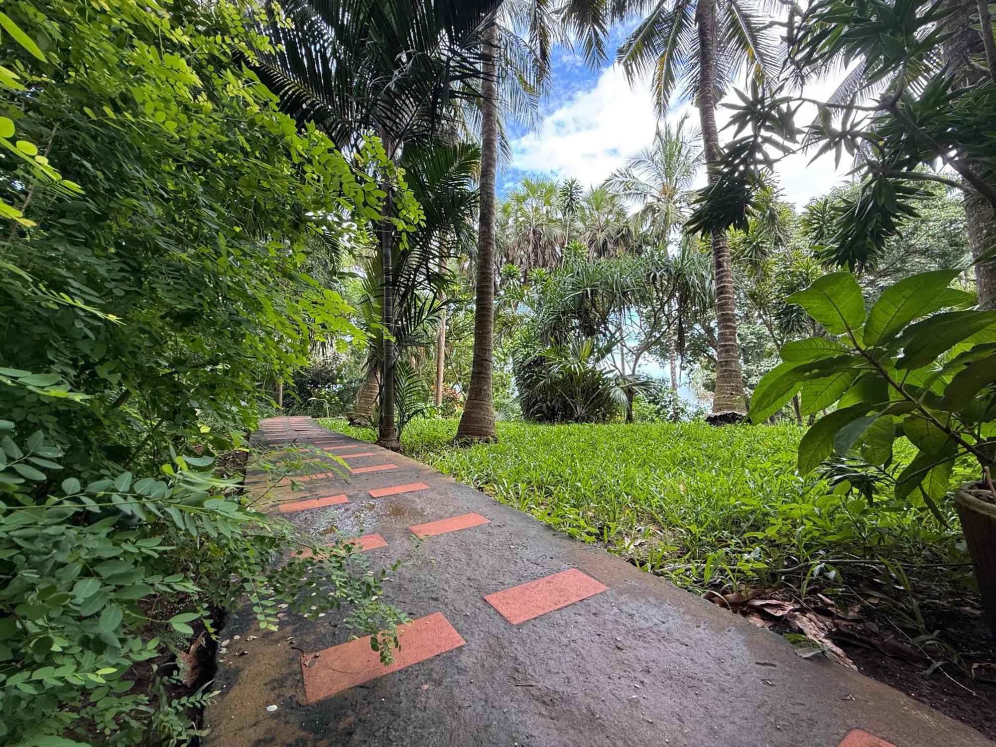 Mbweni Ruins & Gardens Previously Jungle Paradise Zanzibar Exterior foto